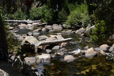 DSC_3687 (Large).JPG